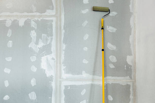 Best Mold Removal for HVAC Installations  in Rothsville, PA