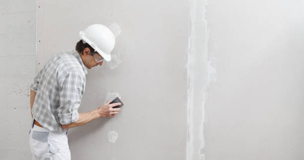 Best Asbestos and Lead Testing During Mold Inspection  in Rothsville, PA