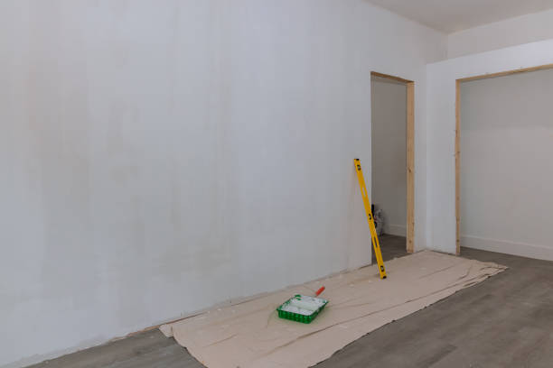 Best Post-Construction Mold Inspection  in Rothsville, PA