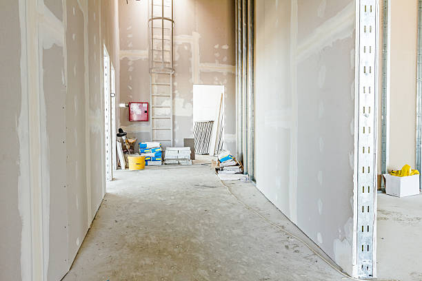 Best Water Damage & Mold Remediation  in Rothsville, PA